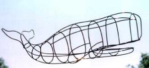 Medium Whale