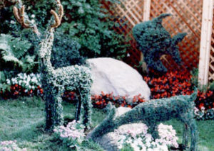 Cliff Finch's Topiary Zoo - Making quality topiary frames since 1981