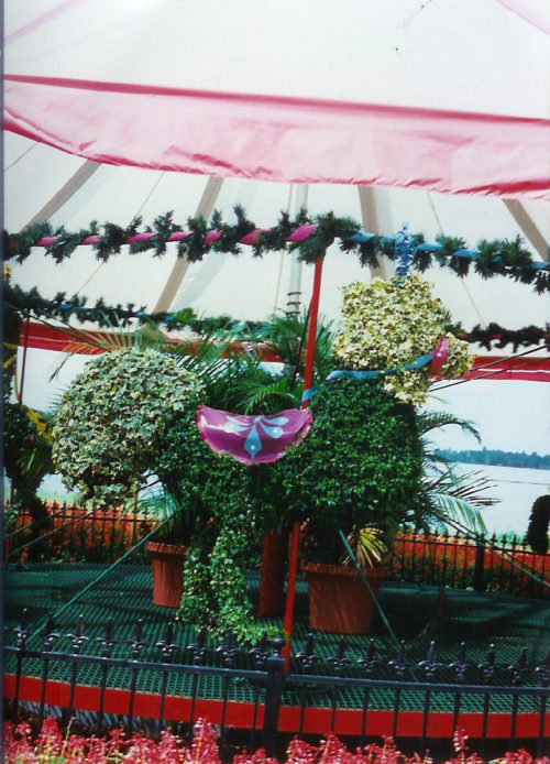 Garden Topiary Cliff Finch's Topiary Zoo