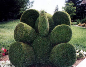 Traditional Topiary Elephant